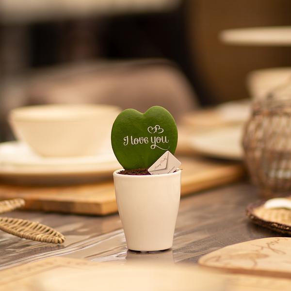 Message Printz® Hoya (Heartplant) | I love you