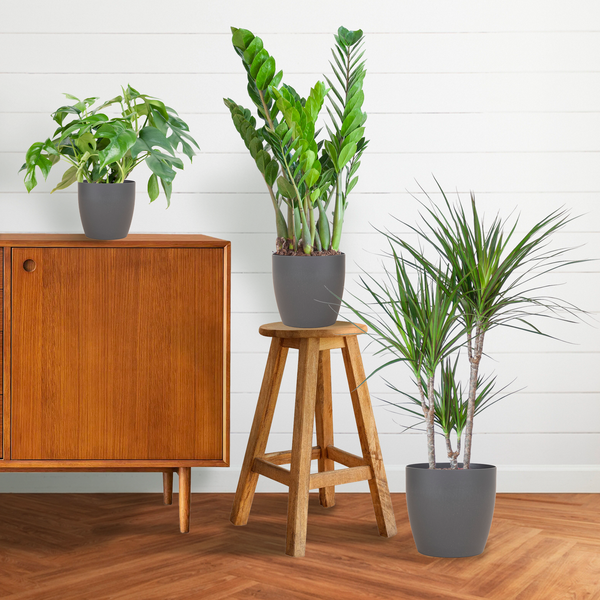 Schaduw Plantenbox - medium - met pot grijs